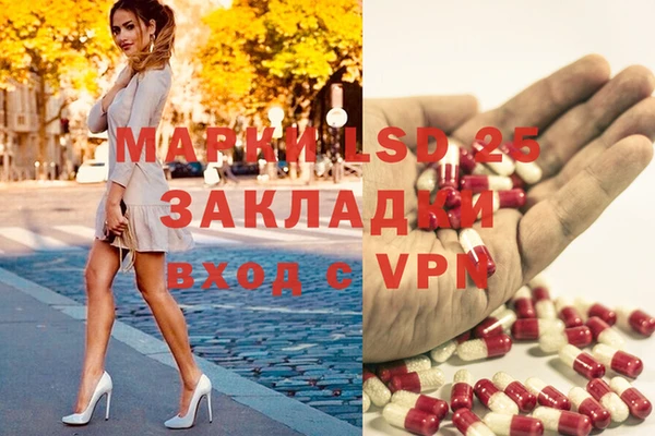 мяу мяу мука Алексин