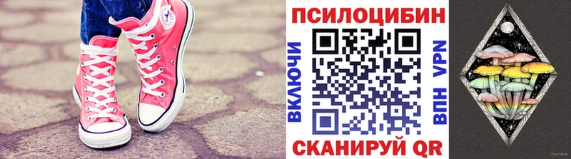 mega рабочий сайт  Далматово  Псилоцибиновые грибы Psilocybe  наркошоп 